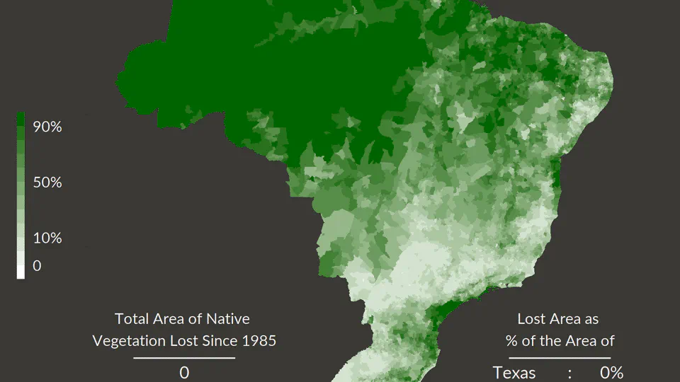 Map of deforestation in Brazil